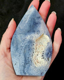 Blue Fossilized Coral Crystal Freeform 🌊🐚💙🔵🪸