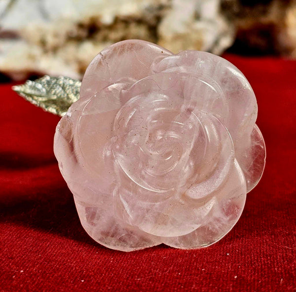 Rose Quartz Crystal Carving on Silver Stem 🌹🩷🥀