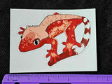 LG. Red Flaming Crested Gecko Sticker ♥️🔥🦎🍒