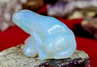 Opalite Crystal Frog Figurine 🐸