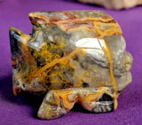 Crazy Lace Agate Crystal Fish Carving 🐠💛✨🩶🐟