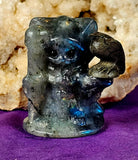 Labradorite Kitty Grim Reaper w/Gold Sheen Obsidian Crystal Raven Figurine 😍🐦‍⬛✨🥹🐈💀