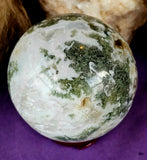 LG. Tree Agate Crystal Sphere 💚🔮✨🌳🤩