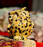 Dalmatian Jasper Crystal Owl Figurine 🦉