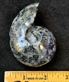 Larvikite Crystal Shell 🩶✨🌘🐚🖤