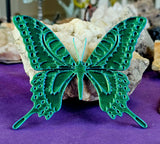 3D Printed Intricate Decor 🩵💚🦋💙