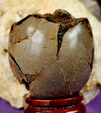 LG. Septarian Crystal Egg Shaped Geode Chocolate Druzy 🌙🌘✨🥚🍩🍫