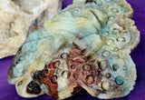 XL Caribbean Calcite Crystal Frog on Flower Carving ✨🐸🤯🤩💎🐚🌊🪸🐸