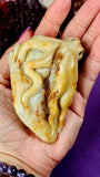 Caribbean Calcite Crystal Octopus on Rock Carving 🐙🪸🪨🌊🐚🦑
