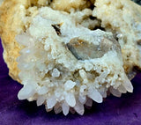 Raw Flowering Dogtooth Calcite Crystal Specimen 🦷🌸✨🐶