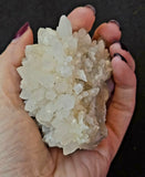 Raw Flowering Dogtooth Calcite Crystal Specimen 🦷🌸✨🐶