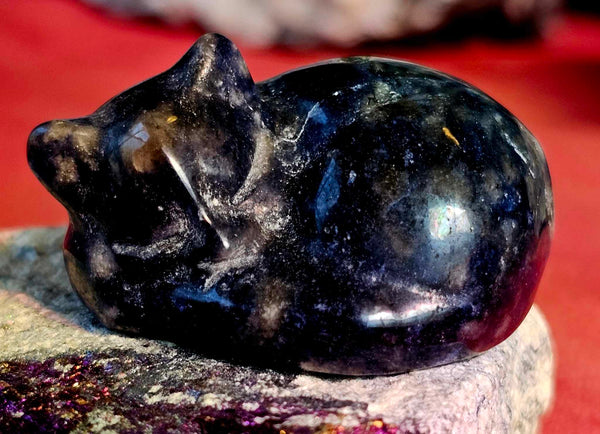 Sodalite Crystal Kitty Carving 💙🐾🐈‍⬛🔵