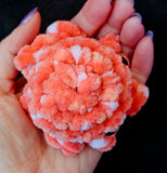 Handmade Crocheted Strawberries and Cream Octobaby Plushie 🦑🥹🐙