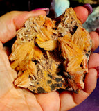 Raw Peach Barite w/Galena Crystal Specimen ✨💥🍑🩶
