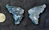 Moss Agate Crystal Butterfly On Black Display Stand 🌿🦋🤍✨
