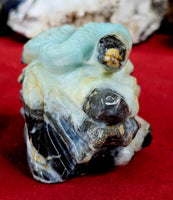LG. Caribbean Calcite Crystal Eel on Rock 🌊🐚🪸