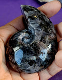 Larvikite Crystal Shell 🩶✨🌘🐚🖤