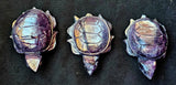 ✨RARE✨ MD. Grade A++ Purple Mica Crystal Turtle Carving 🐢✨ 🤩 🤯 💜🐢