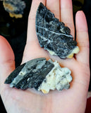 Crazy Lace Agate Crystal Butterfly Carving on Black Metal Display Stand #2 🖤🦋💛✨🤍