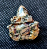 Yellow Jasper Crystal Frog Carving 🐸✨🥹💎