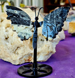 Crazy Lace Agate Crystal Butterfly Carving on Black Metal Display Stand #2 🖤🦋💛✨🤍