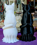 LG. 3D Printed Cat Perched on Skull Decor