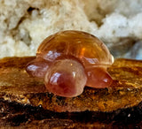 Rainbow Fluorite Crystal Turtle Carving 🐢💜💙💛💚🔮🐢✨