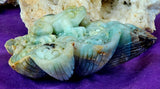XL Caribbean Calcite Crystal Frog on Flower Carving ✨🐸🤯🤩💎🐚🌊🪸🐸