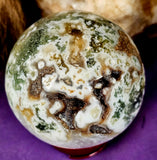 LG. Tree Agate Crystal Sphere 💚🔮✨🌳🤩