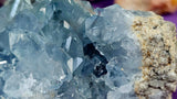 Raw Celestite Crystal Geode Specimen ✨🩵💎✨💙