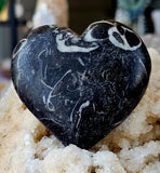 MD. Unique Black & White Fossilized Coral Crystal Puffy Heart Stone 🖤✨🐚🪸🤍