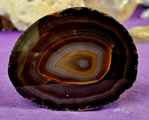 Queensland Agate Crystal Polished Geode 💥✨🔥🪨