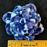 Handmade Mini Crocheted Blueberries and Cream Octobaby Plushie 🦑🥹🐙