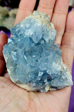 Raw Celestite Crystal Geode Specimen ✨🩵💎✨💙
