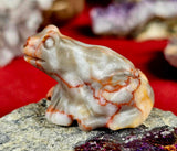 Red Veined Jasper Crystal Frog Figurine 🐸