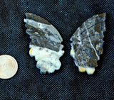 Crazy Lace Agate Crystal Butterfly Carving on Black Metal Display Stand #2 🖤🦋💛✨🤍