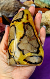 LG. UV Reactive Polished Septarian Crystal Freeform 💛✨🤩🖤