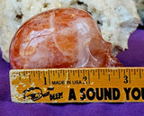 LG. Red Fire Hematoid Quartz Crystal Skull Carving ✨💀☠️❤️🤩🤯