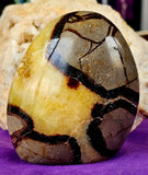UV Reactive Septarian Crystal Freeform w/Druzies 💛✨🤩🤯🖤💎