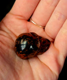 Mahogany Obsidian Crystal Mini Skull 🖤💀❤️