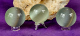 SM. White Cat Eye Crystal Sphere 👁️✨😻🔮🐈🤍