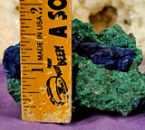 Raw Malachite w/Azurite Crystal Specimen 💚✨🤩🤯💙