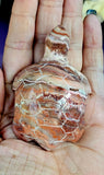 Hand Carved Mexican Lace Agate Crystal Turtle Figurine