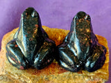 Black Plum Blossom Jasper Crystal Frog Carving 🐸✨🥹💎