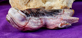 LG. Banded Agate Crystal Fantail Goldfish Carving ✨🤩🐟🐠🐡🤯🤍
