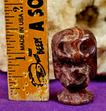 Assorted Crystal Sally Nightmare Before Christmas Figurine 👻🎃🎄🎁