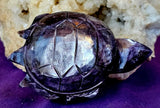 ✨RARE✨ MD. Grade A++ Purple Mica Crystal Turtle Carving 🐢✨ 🤩 🤯 💜🐢