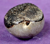 Septarian Geode Chocolate Druzy Crystal Egg 🥚🌙🌘🖤✨